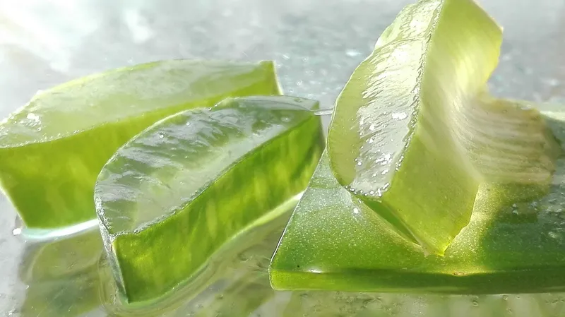 A small, compact aloe vera plant in a colorful pot on a desk under indoor lighting.