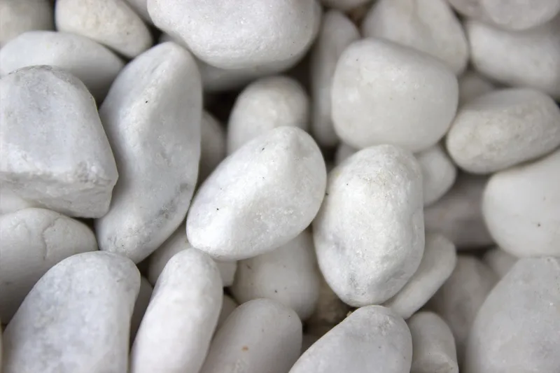 Small white decorative pebbles covering the soil of a succulent container