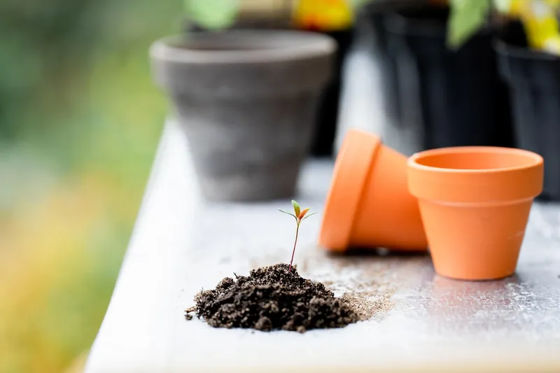 Rich dark potting soil being mixed with white perlite and compost in a large container for planting