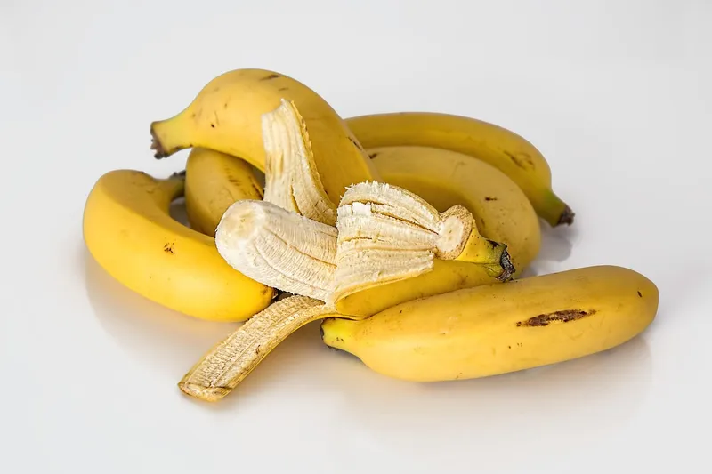 Chopped up banana peels being buried in the soil at the base of a rose bush
