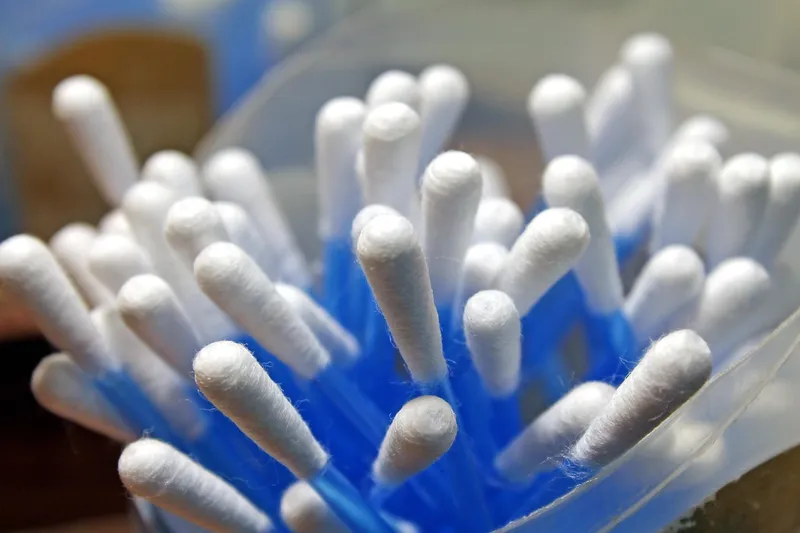 A cotton swab dipped in rubbing alcohol being used to dab aphids off a succulent plant