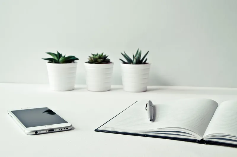 14 Best Low-Light Succulents for Desks With No Natural Sunlight Access