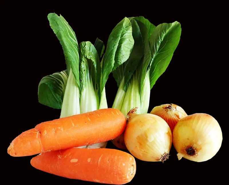Small heads of baby bok choy growing in a garden with dark soil