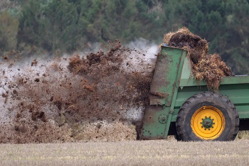A handful of organic granular fertilizer being applied to garden soil